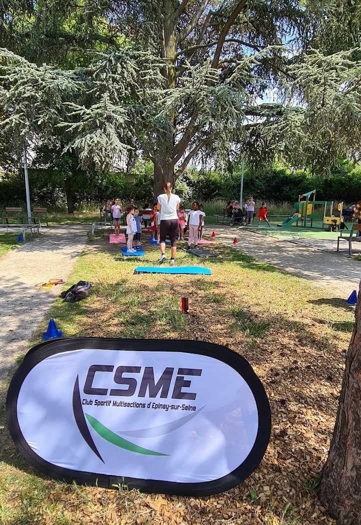 Csme 3